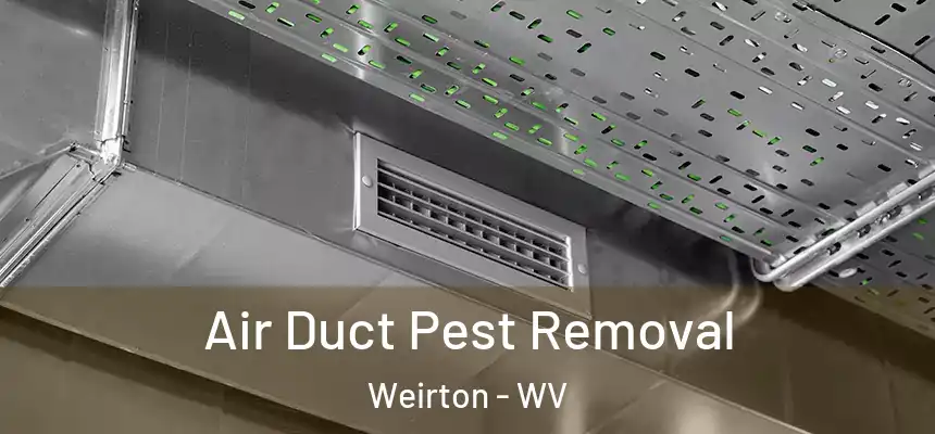  Air Duct Pest Removal Weirton - WV