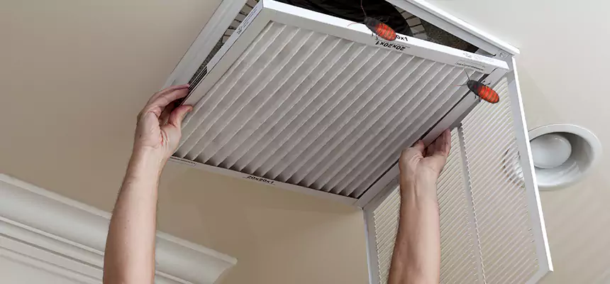Preventive Cockroach-Proofing for Ducts in Weirton