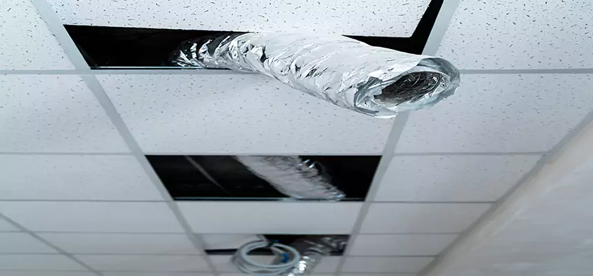 Our Air Duct Pet Hair Removal Services in Weirton, WV