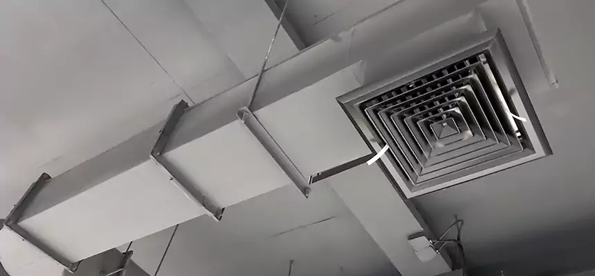 Our Pest Removal From Ducts Services in Weirton, WV