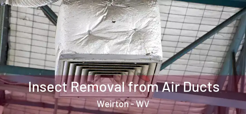  Insect Removal from Air Ducts Weirton - WV