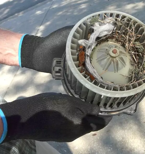 About Air Duct Mice Removal in Weirton, WV