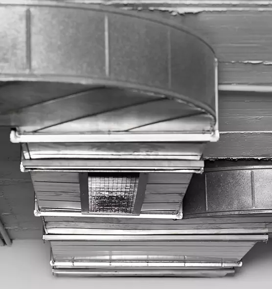 Professional Air Duct Pest Removal in Weirton, WV