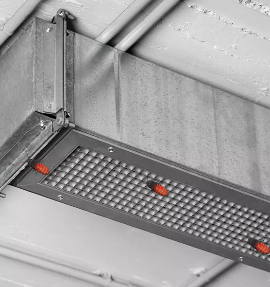 Affordable Insect Removal from Air Ducts in Weirton, WV