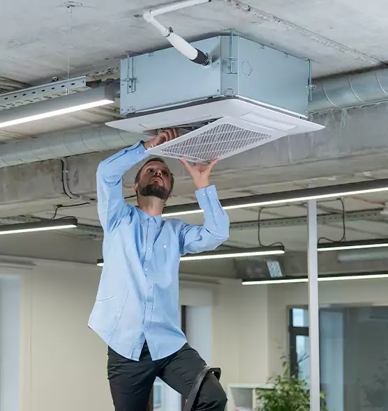 Advanced Rodent Droppings In Vents in Weirton, WV