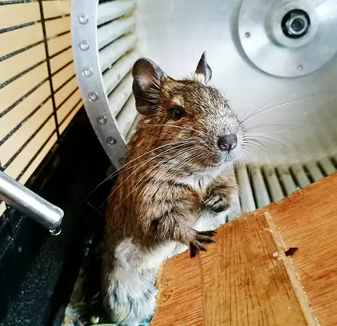 Why Homeowners & Businesses Trust Us Weirton, WV?